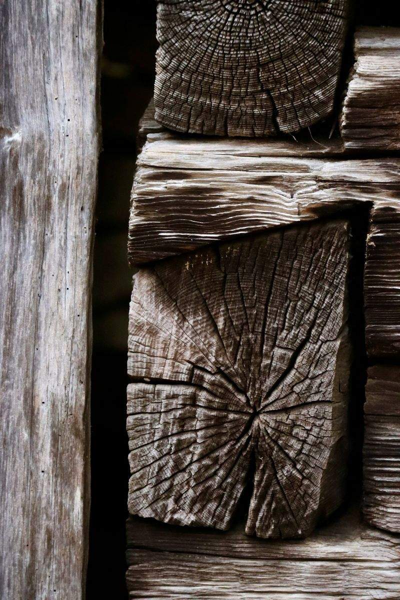 Arte e Legno Italia - Image 5